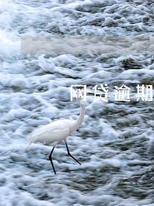 网贷逾期多久才在征信显示 网贷逾期多久才在征信显示