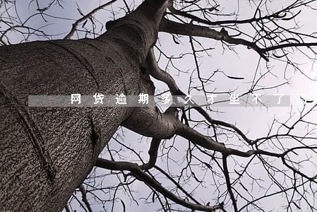 网贷逾期多久才坐不了高铁 网贷逾期多久才坐不了高铁