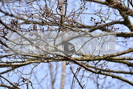 网贷逾期多久才算坏账 网贷逾期多久才算坏账