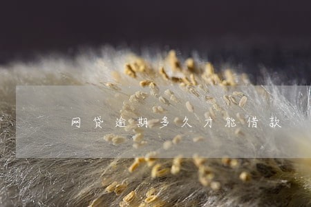 网贷逾期多久才能借款 网贷逾期多久才能借款