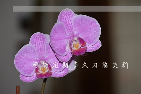 网贷逾期多久才能更新