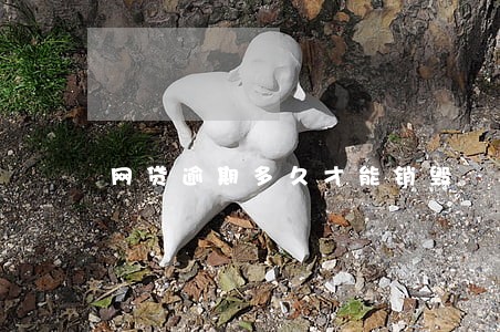 网贷逾期多久才能销毁 网贷逾期多久才能销毁