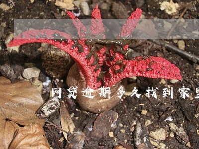 网贷逾期多久找到家里 网贷逾期多久找到家里