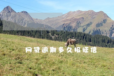 网贷逾期多久报征信 网贷逾期多久报征信