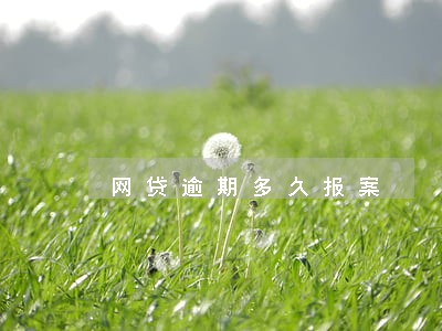 网贷逾期多久报案 网贷逾期多久报案