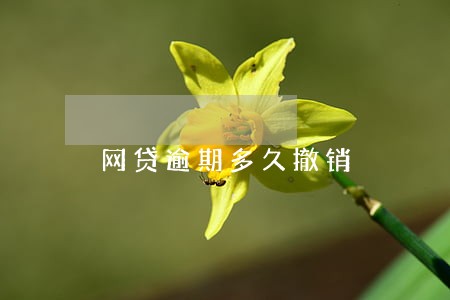 网贷逾期多久撤销 网贷逾期多久撤销