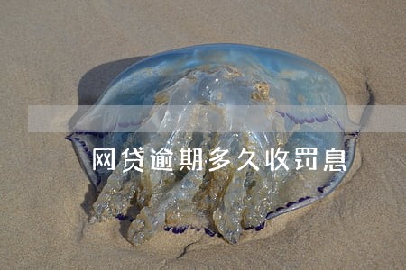 网贷逾期多久收罚息