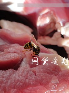网贷逾期多久无人催收 网贷逾期多久无人催收