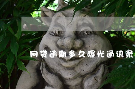 网贷逾期多久曝光通讯录 网贷逾期多久曝光通讯录