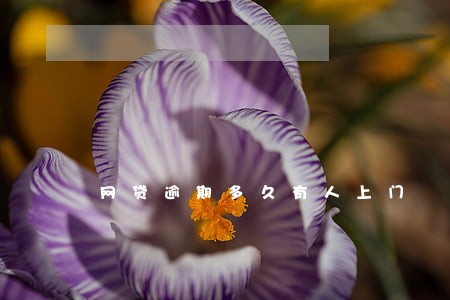 网贷逾期多久有人上门 网贷逾期多久有人上门