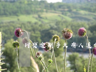 网贷逾期多久有人追债 网贷逾期多久有人追债