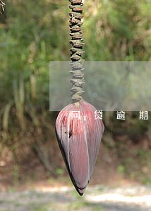 网贷逾期多久有追债 网贷逾期多久有追债