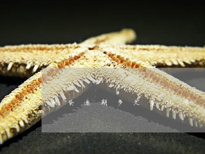 网贷逾期多久查社保