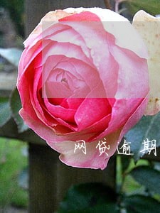 网贷逾期多久法院不受理起诉 网贷逾期多久法院不受理起诉