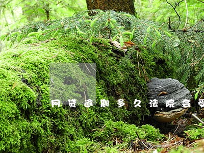 网贷逾期多久法院会受理案件 网贷逾期多久法院会受理案件