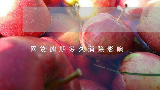 网贷逾期多久消除影响 网贷逾期多久消除影响