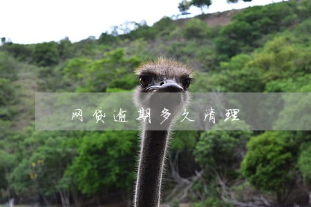 网贷逾期多久清理 网贷逾期多久清理