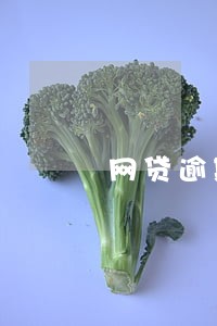 网贷逾期多久算严重高利息还款 网贷逾期多久算严重高利息还款