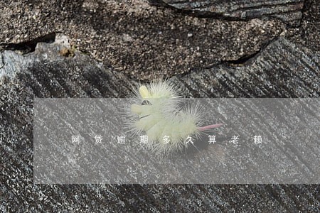 网贷逾期多久算老赖 网贷逾期多久算老赖
