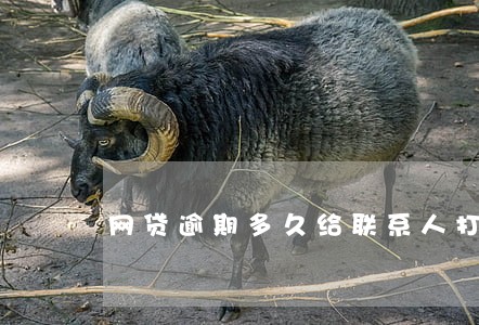 网贷逾期多久给联系人打电话 网贷逾期多久给联系人打电话