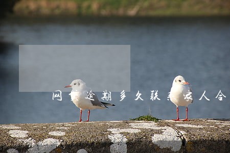 网贷逾期多久联系家人合法