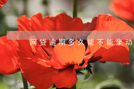 网贷逾期多久能不能坐动车 网贷逾期多久能不能坐动车