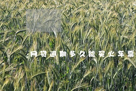网贷逾期多久能买火车票 网贷逾期多久能买火车票