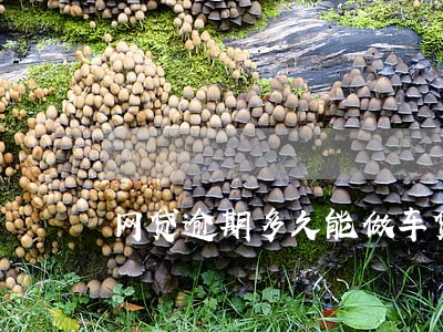 网贷逾期多久能做车贷