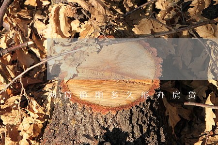 网贷逾期多久能办房贷 网贷逾期多久能办房贷