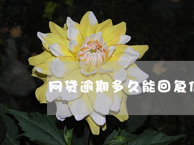 网贷逾期多久能回复信用