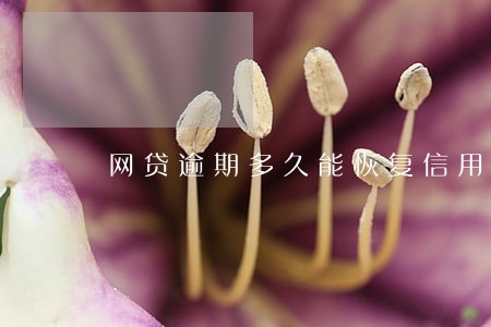 网贷逾期多久能恢复信用 网贷逾期多久能恢复信用