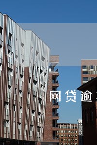 网贷逾期多久能成黑户