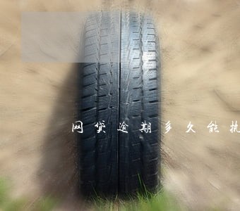 网贷逾期多久能执行 网贷逾期多久能执行