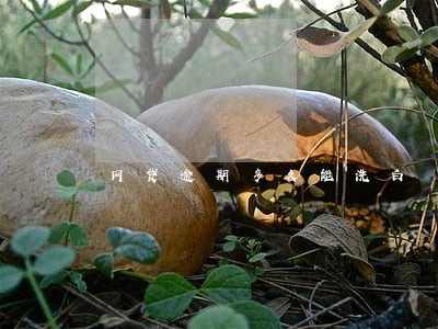 网贷逾期多久能洗白 网贷逾期多久能洗白