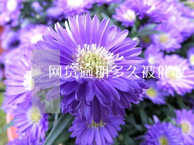 网贷逾期多久被催收 网贷逾期多久被催收