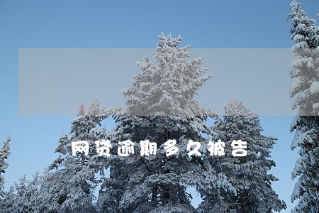 网贷逾期多久被告 网贷逾期多久被告