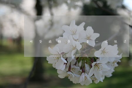 网贷逾期多久要一次性还