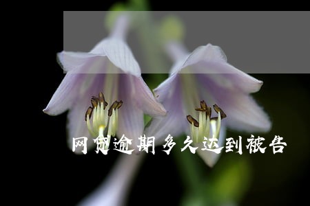网贷逾期多久达到被告 网贷逾期多久达到被告