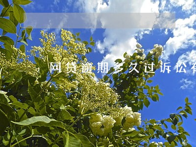 网贷逾期多久过诉讼有效期 网贷逾期多久过诉讼有效期