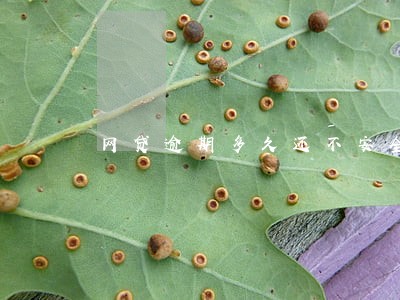 网贷逾期多久还不安全 网贷逾期多久还不安全