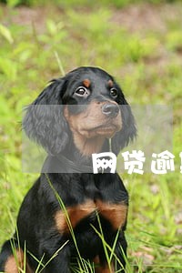 网贷逾期多久还最合适 网贷逾期多久还最合适