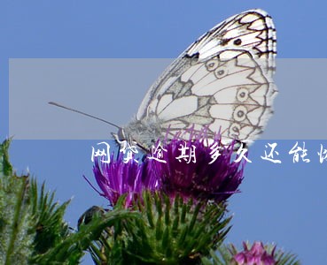 网贷逾期多久还能恢复 网贷逾期多久还能恢复