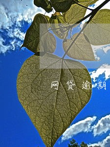 网贷逾期多久通知家属 网贷逾期多久通知家属