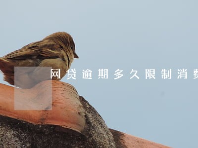 网贷逾期多久限制消费 网贷逾期多久限制消费