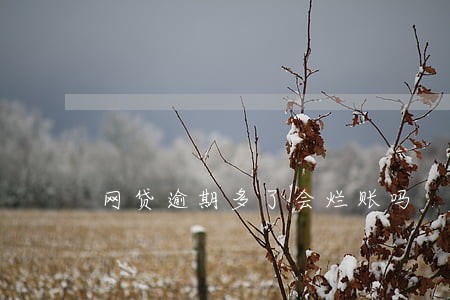网贷逾期多了会烂账吗 网贷逾期多了会烂账吗