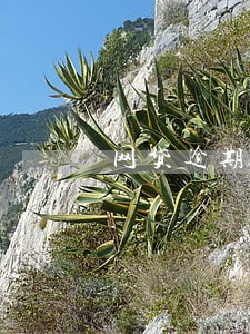网贷逾期多了会被起诉吗 网贷逾期多了会被起诉吗