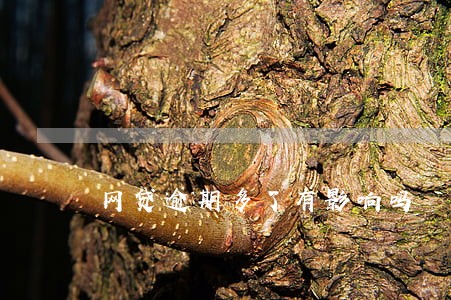 网贷逾期多了有影响吗 网贷逾期多了有影响吗