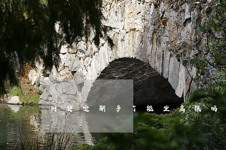 网贷逾期多了能坐高铁吗 网贷逾期多了能坐高铁吗