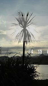网贷逾期多了贷不出来 网贷逾期多了贷不出来