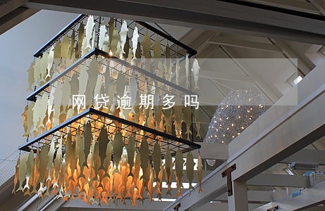 网贷逾期多吗 网贷逾期多吗